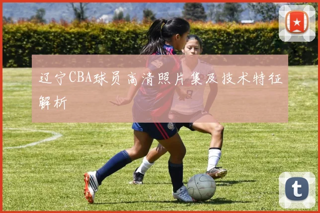 辽宁CBA球员高清照片集及技术特征解析