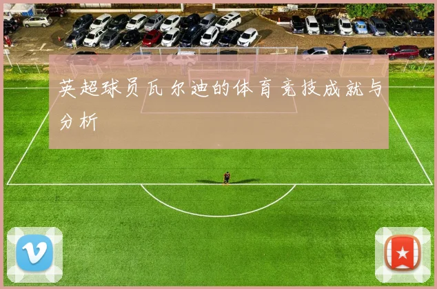 英超球员瓦尔迪的体育竞技成就与分析