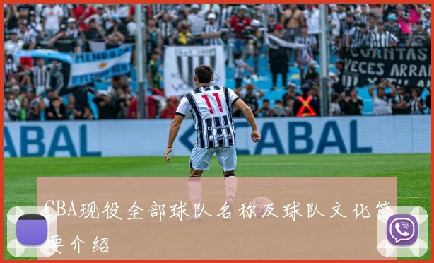 CBA现役全部球队名称及球队文化简要介绍