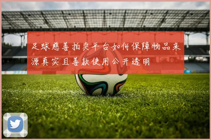 足球慈善拍卖平台如何保障物品来源真实且善款使用公开透明