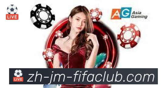 企业概况